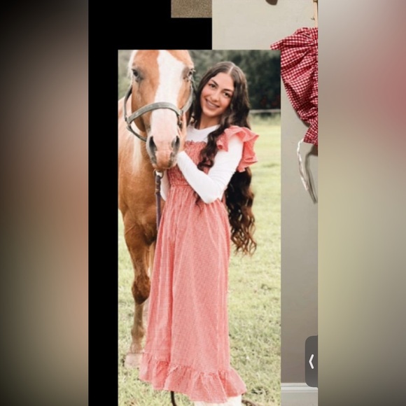 Red Gingham Ruffle Dress - Picture 3 of 3